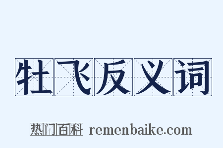 牡飞反义词是什么意思的图片